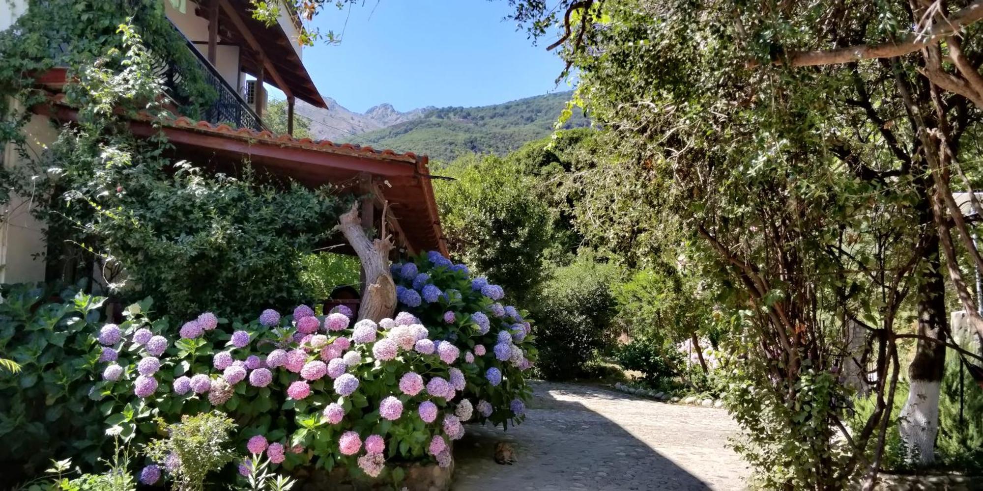 Akamatis Giorgos Hotell Therma  Exteriör bild